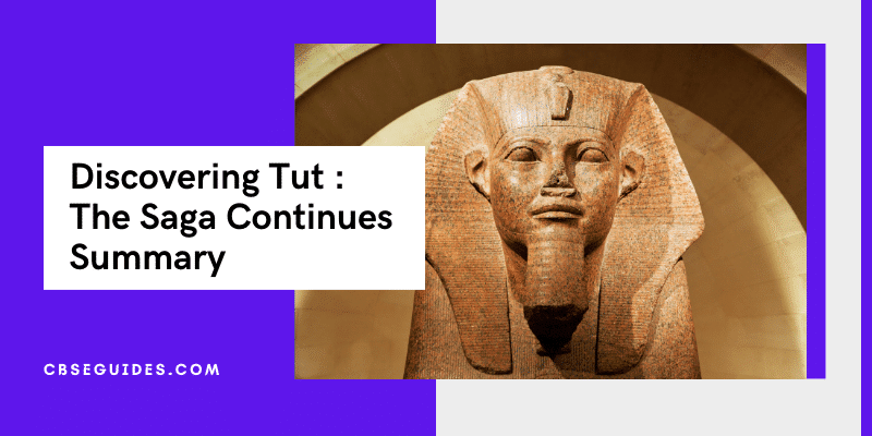 Discovering Tut The Saga Continues Summary Class 11th