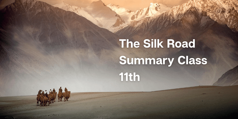 Silk Road Summary Class 11th