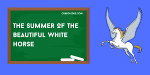 The Summer Of The Beautiful White Horse