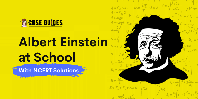 Albert Einstein at School Summary Class 11 Snapshots