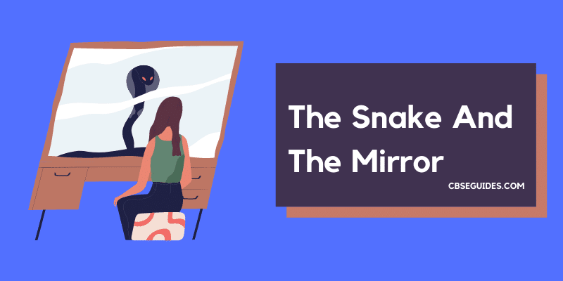 The Snake And The Mirror Class 9th Beehive
