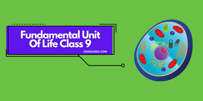 The Fundamental Unit Of Life Class 9 Science Chapter 5