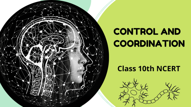Control And Coordination Class 10th Biology Science NCERT