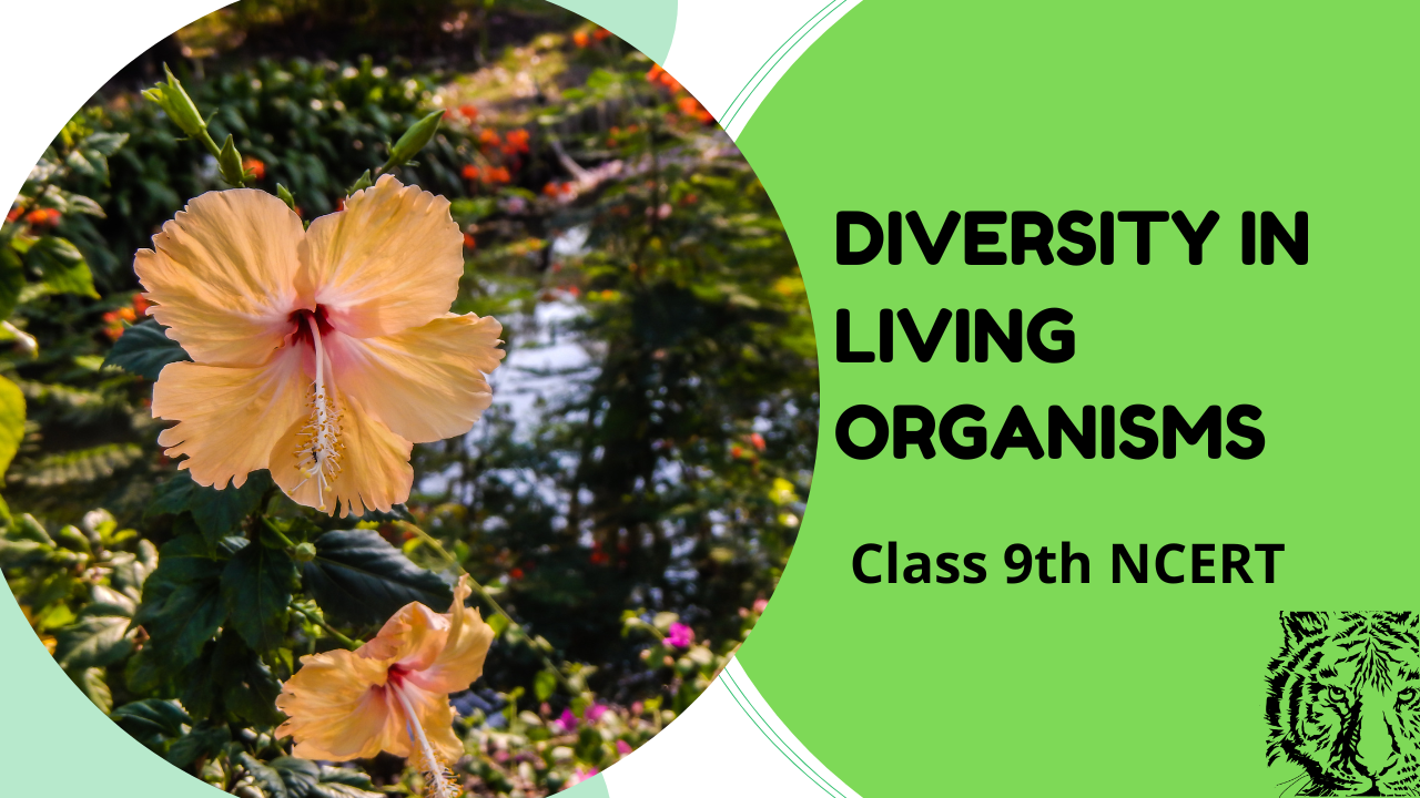Diversity In Living Organisms Class 9th Science