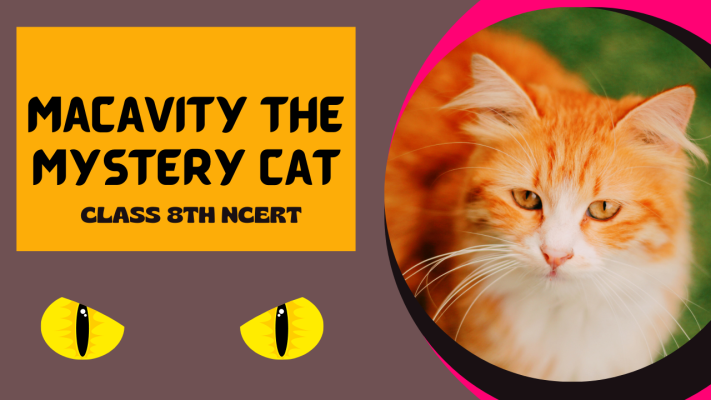 Macavity The Mystery Cat Class 8th NCERT