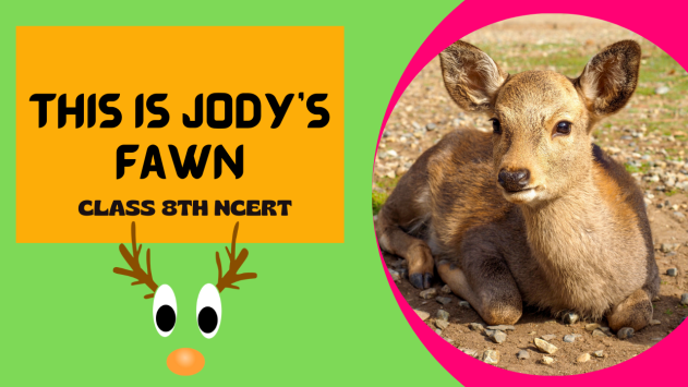 This Is Jody’s Fawn Class 8th NCERT